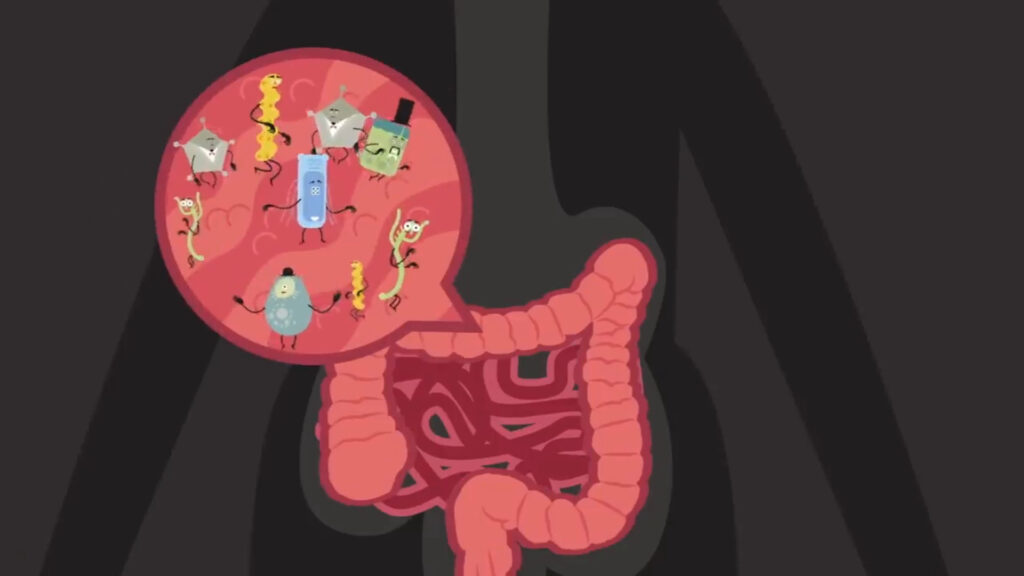 Gut Microbiome for Health